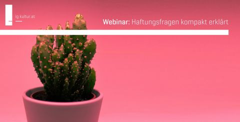 Einladungskarte zum Webinar Haftungsfragen im Kulturverein kompakt erklärt, mit Thomas Höhne, Februar 2025