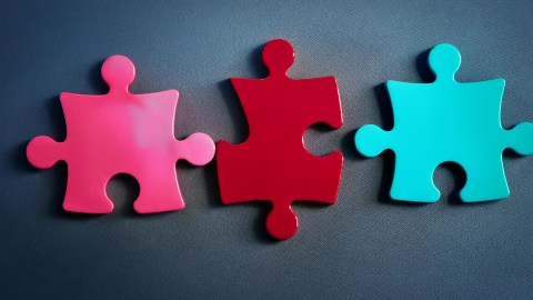 Symbolbild zur Regierungsbildung durch SPÖ, ÖVP und NEOS – die Puzzleteile kommen zusammen: rot - türkis - pink; 